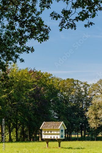 Wooden dovecote in a park in Overijssel, The Netherlands, Europe
