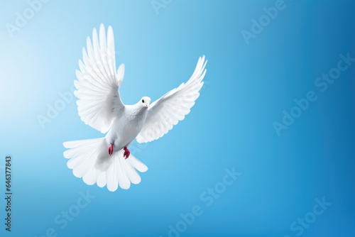Flying white dove on the blue sky © Venka