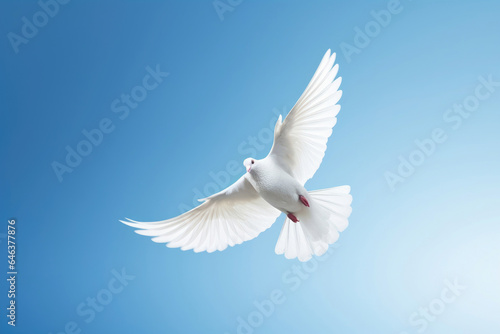 Flying white dove on the blue sky © Veniamin Kraskov