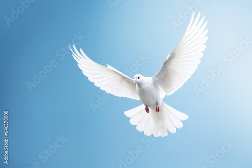 Flying white dove on the blue sky © Venka