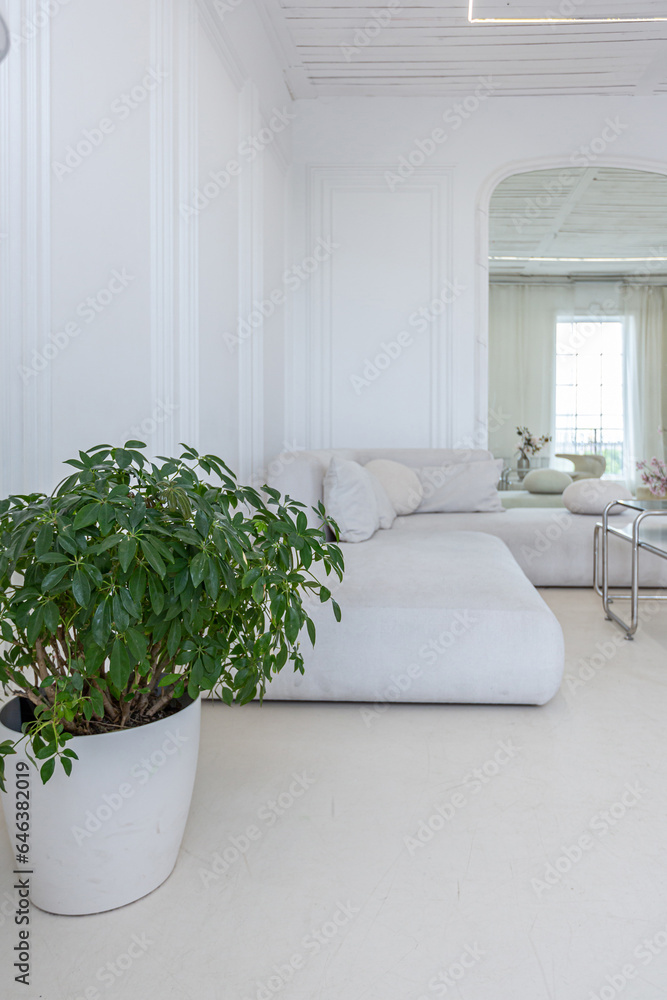 interior of a bright living room in a luxurious baroque style with white walls decorated with antique stucco