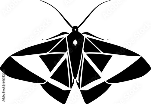 Diamondback Moth icon