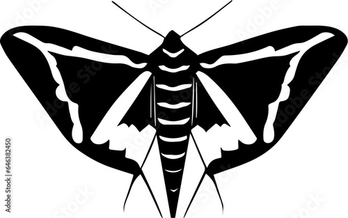Diamondback Moth icon 3