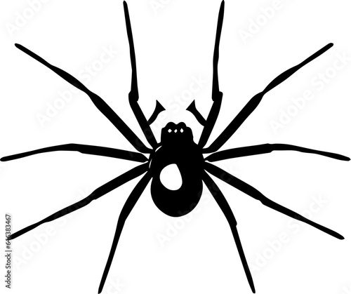 Common House Spider icon 3