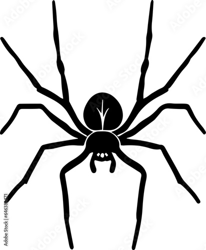 Common House Spider icon 1
