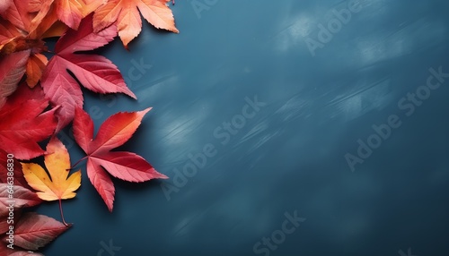 autumn leaves on empty background with space for text