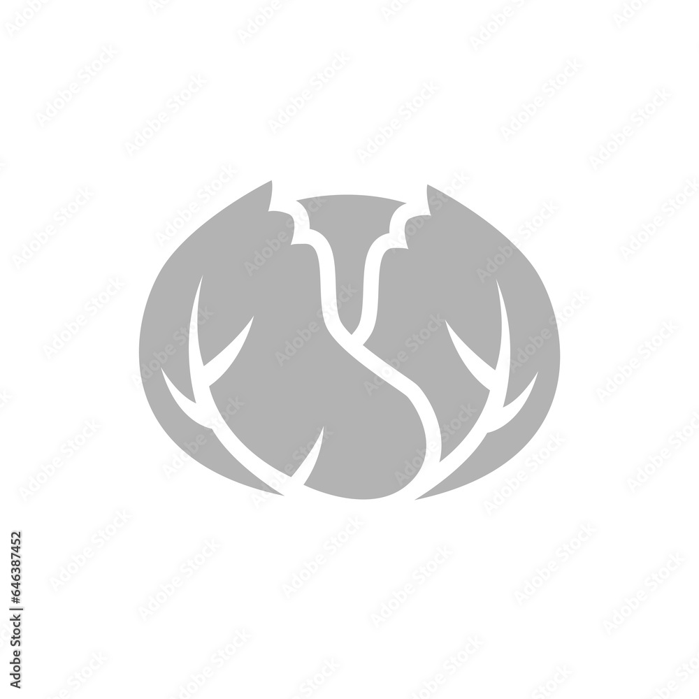 cabbage icon on a white background, vector illustration cabbage icon on a white background, vector illustration