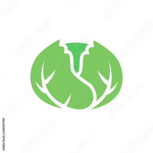 cabbage icon on a white background, vector illustration