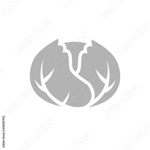 cabbage icon on a white background, vector illustration