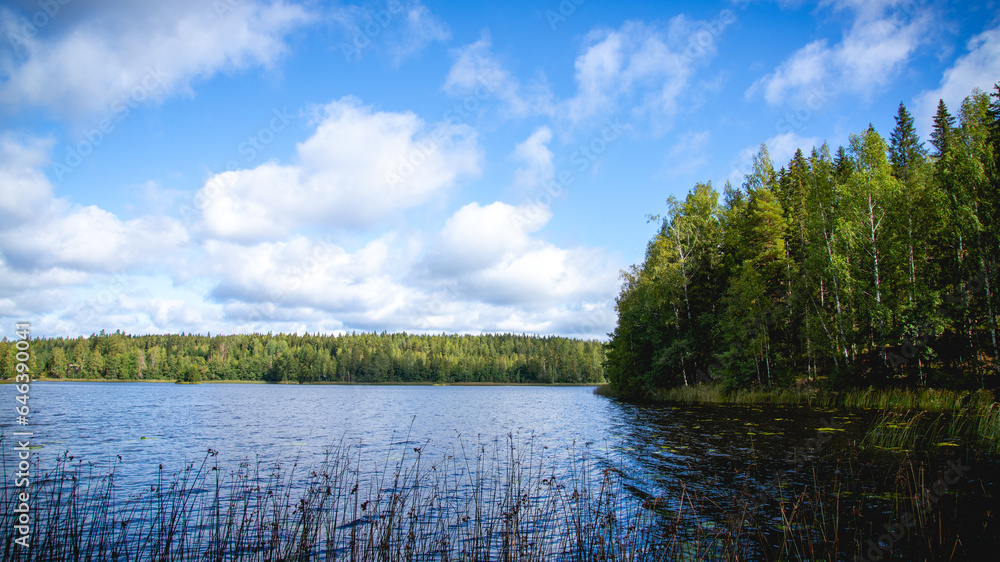 beautiful lake landscape during summer. photo takein in finland