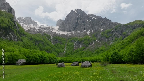 green alpine field and giant mountain with a snow on a background, drone fly low forward over the meadow. 