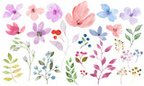 Watercolor floral set. Hand drawing illustration isolated on white background. PNG.