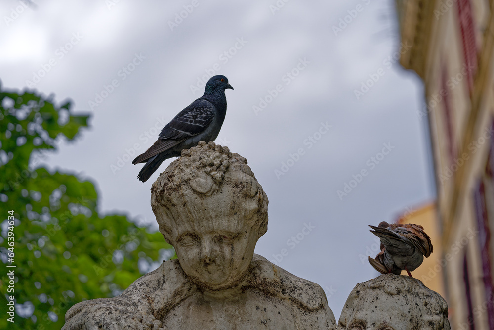 Φωτογραφία Stone sculpture at fountain at Léon Blum Square with pigeon at French City of Toulon on a cloudy late spring day