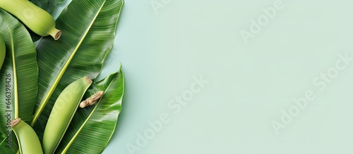 Banana leaf isolated on a isolated pastel background Copy space