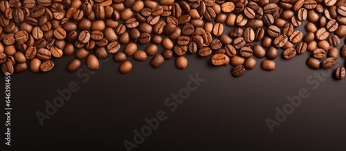 Coffee beans roasted and displayed against a isolated pastel background Copy space