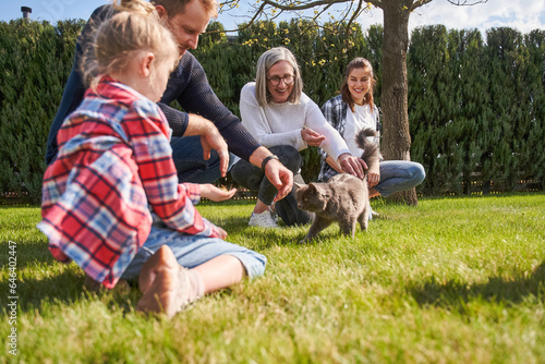 Joyful family sitting at the green grass summer lawn and playing with cute cat