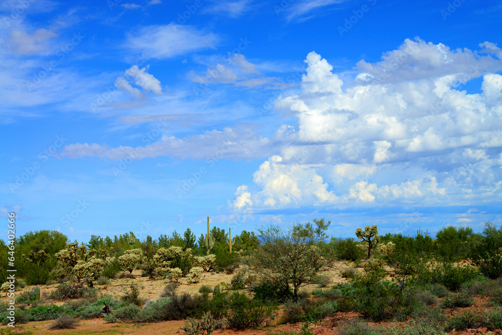 Fototapeta premium Storm Clouds Forming Sonora Desert Arizona