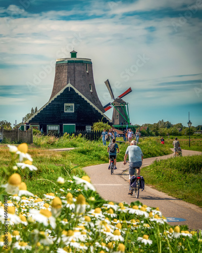 Zaanse Schans, Zaandam, Holland -July 18, 2023: Back rear view of couple riding bikes among daisy flowers and windmills in the background..