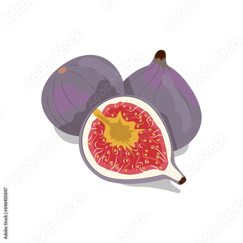 Figs, a tropical fruit . Illustration of a whole and cut fig on a white background in vector.