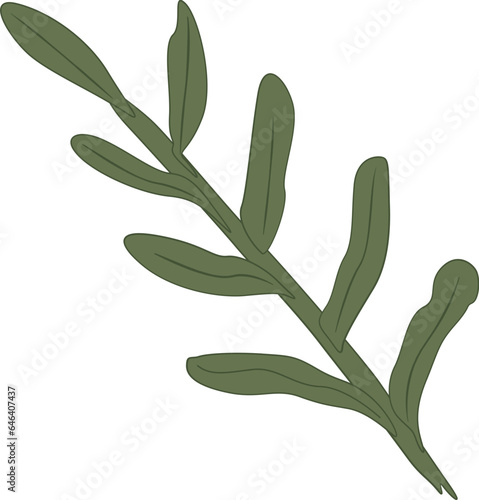 Vector Leaf Illustration Element