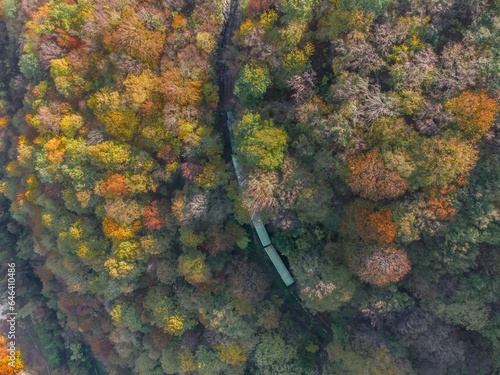 Aerial view of train in beautiful autumn forest at sunset. Train rides in the autumn forest.