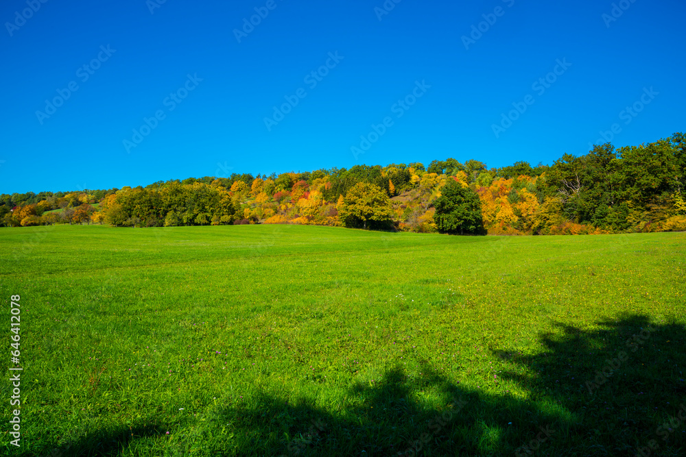 Germany, Autumn colored trees at the edge of the forest blue sky beautiful mood nature landscape hiking behind green meadow panorama