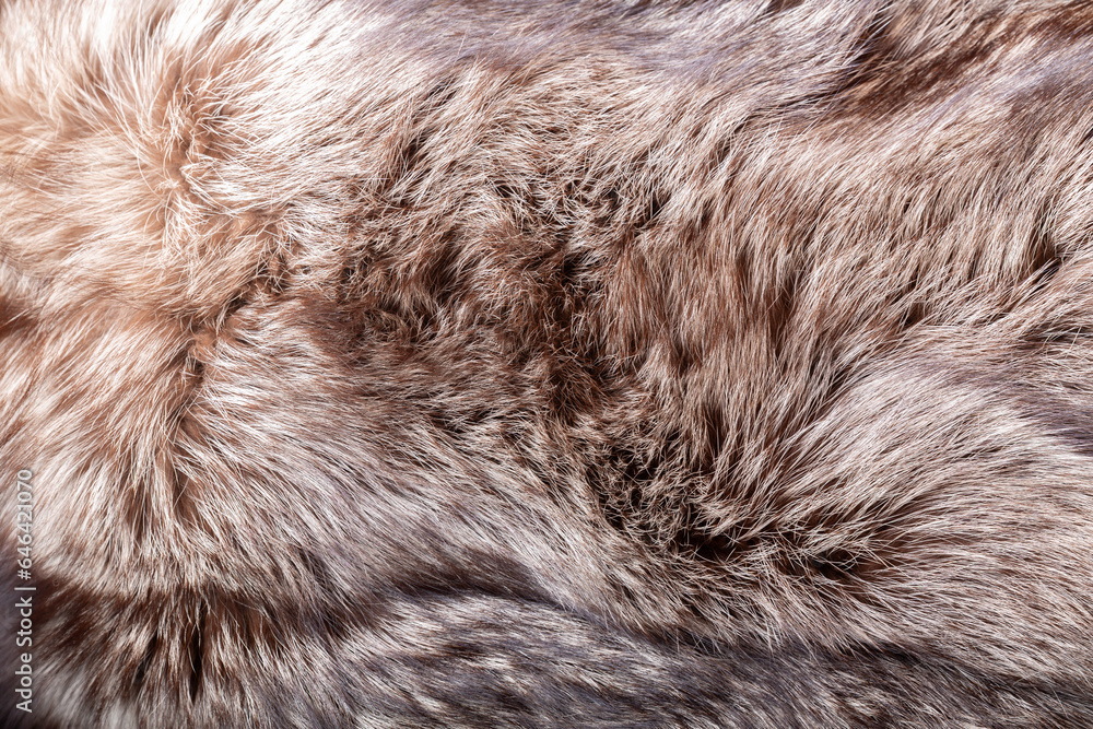 Natural animal fur as background Natural animal fur as background