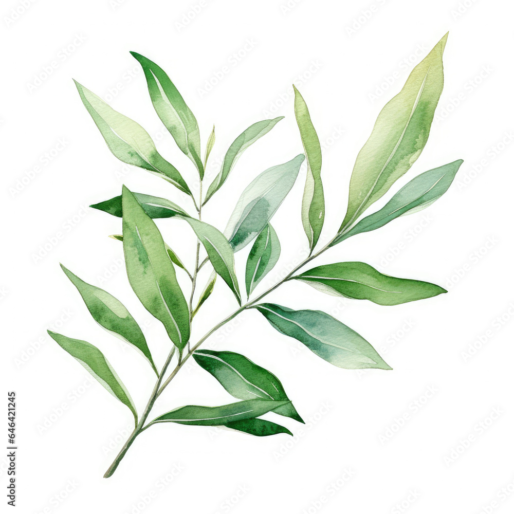 Watercolor laurel . Generative Ai Watercolor laurel . Generative Ai