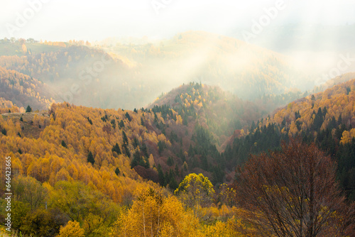 Romania is home to stunning natural landscapes, and autumn is an excellent time to explore its national parks and nature reserves. The Carpathian Mountains,