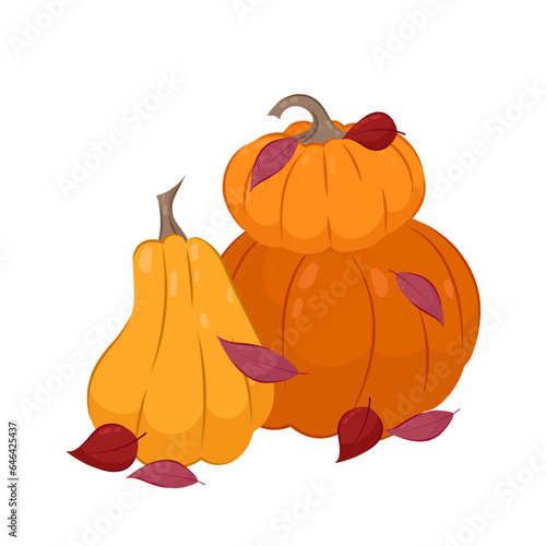 Vector illustration of orange ripe pumpkins. Pumpkins sprinkled with autumn leaves on a white background. Autumn composition in flat style.