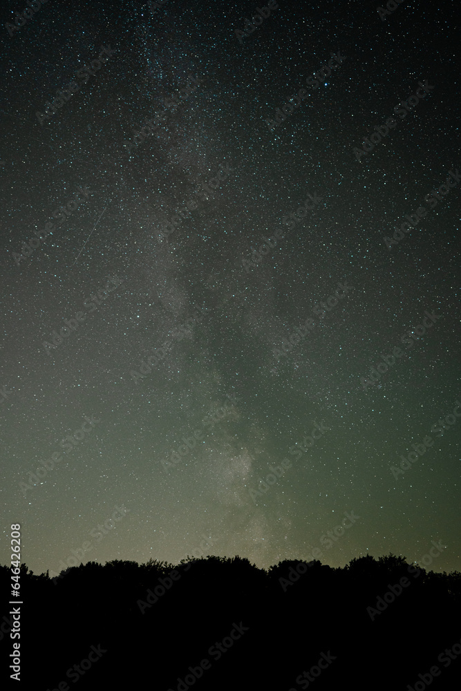 The milky way above a forest treeline