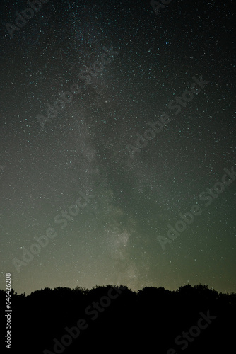 The milky way above a forest treeline