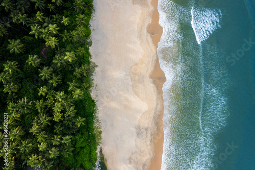 Aerial beach scenery from Kerala, Beautiful blue waves with coconut trees, tropical beach landscape