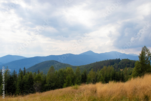 Mountain Forest, With Tall Trees and White Clouds, a Feeling of Blissful Happiness Permeates the Air © Oksana