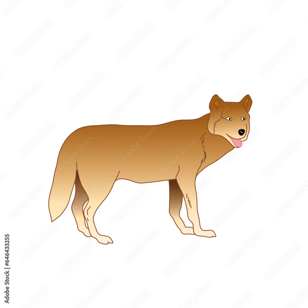 dog wolf illustration of a fox dog wolf illustration of a fox