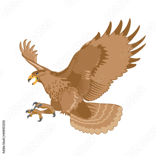 eagle in flight eagle in the sky illustration