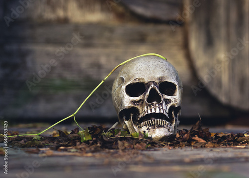 Eerie skull. A hauntingly atmospheric landscape featuring a bone-colored skull resting on a bed of withered leaves.