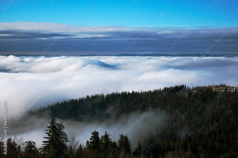 Fog on the slopes of mountain valleys. Sunny day, clear blue sky.