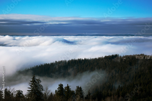 Fog on the slopes of mountain valleys. Sunny day, clear blue sky. © Stock