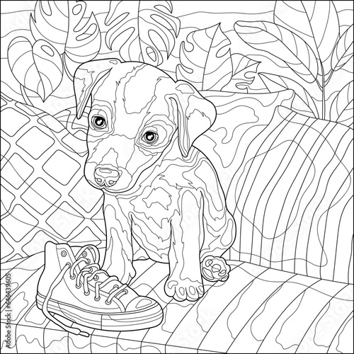 Fototapeta Naklejka Na Ścianę i Meble -  Cute puppy on the sofa with sneakers. Coloring book for adults, black and white vector illustration. Line art.