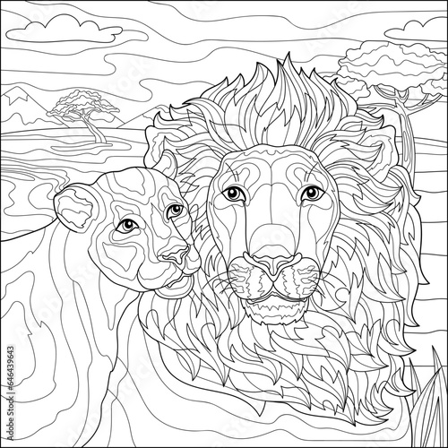 Fototapeta Naklejka Na Ścianę i Meble -  Lion and lioness on safari. Coloring book for adults, black and white vector illustration. Line art.