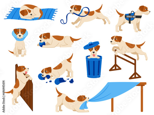 Funny cartoon dog scenes. Cute beagle pup plays with ball, service dog and injured pet. Puppy misbehaving, jumps and sleep vector illustration set