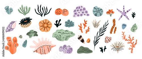 Cartoon seashells. Seaweeds and corals. Oceanic decorative elements. Underwater plants. Marine mineral formations. Mollusks shells. Scallop and starfish. Aquatic conch. Garish vector set