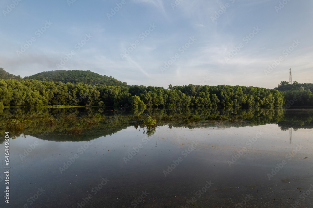 Morning lake view with trees reflections, Kannur Edakkanam river view 