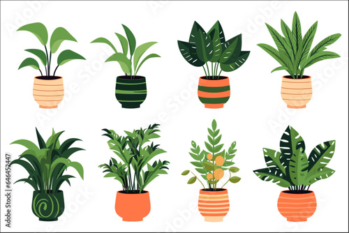 set of decorative plant illustration vector for art project 