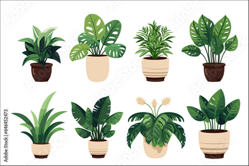 set of decorative plant illustration vector for art project 