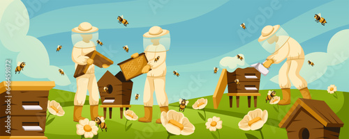 Cartoon beekeepers at apiary. Honey bees flying around beehives in flower field, blooming wildflowers and apiary workers. Rural beekeeping life vector illustration