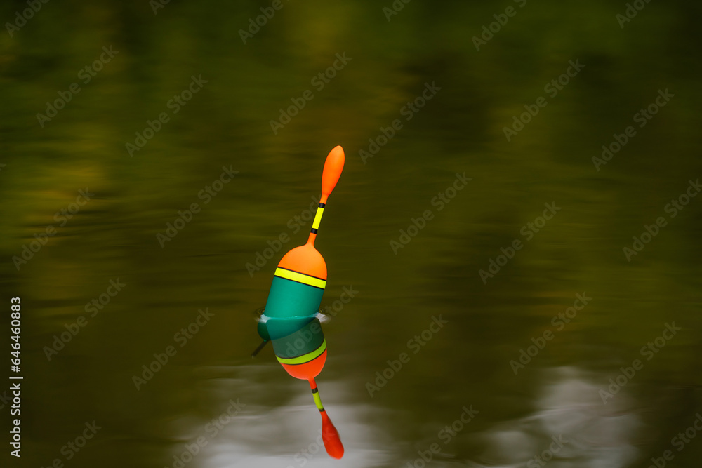 A close-up of the float signals a bite in calm water. A close-up of the float signals a bite in calm water.