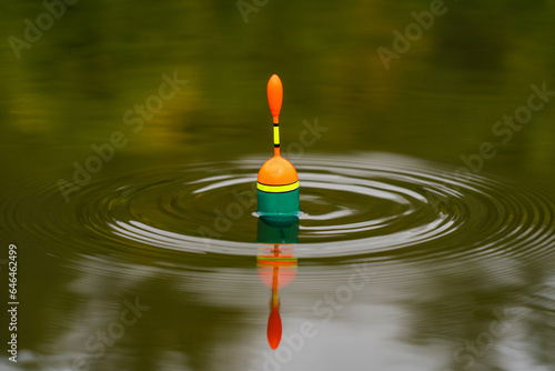 A close-up of the float signals a bite in calm water.