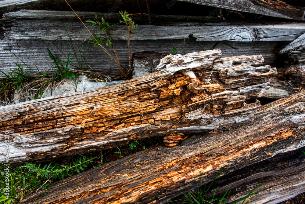 2023 05 27 Malcesine antique wood grain 2023 05 27 Malcesine antique wood grain
